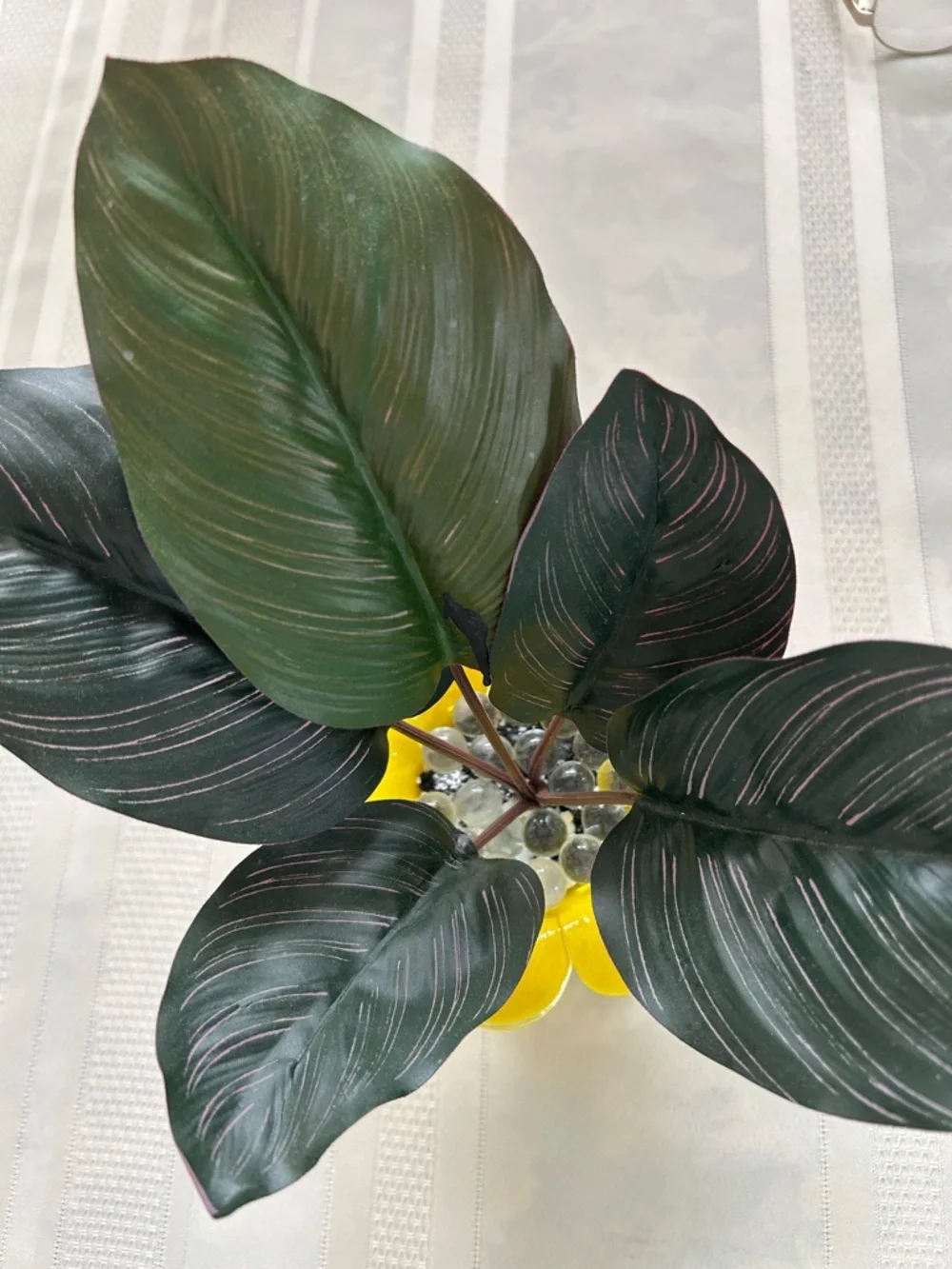 Artificial Plant with Striped Leaves in Yellow Ceramic Pot